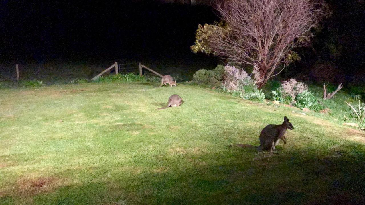 Bee'S Place - 3 Bedroom Home On 10 Acres Of Land With Distant Ocean Views Emu Bay Luaran gambar