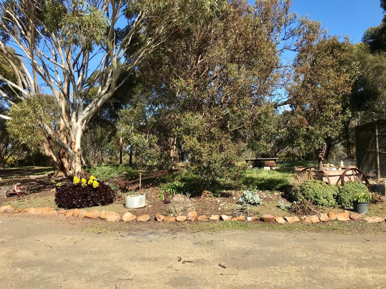 Bee'S Place - 3 Bedroom Home On 10 Acres Of Land With Distant Ocean Views Emu Bay Luaran gambar